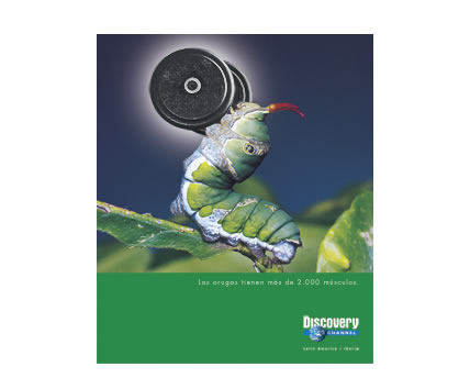 Ad campaign for Discovery Networks