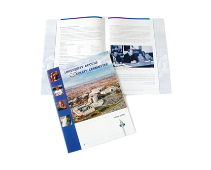 two color annual report, limited budget design
