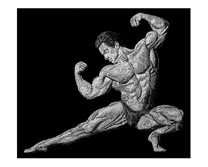 Scratchboard Illustration of Champion Body Builder Richard Gaspari